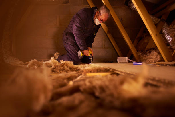 Best Insulation Installation Services in Stansberry Lake, WA